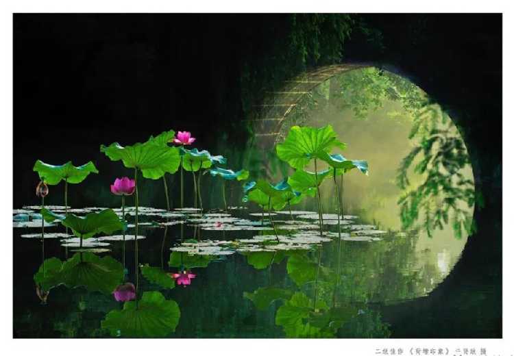 "为荷而来"开封荷花摄影比赛获奖作品展