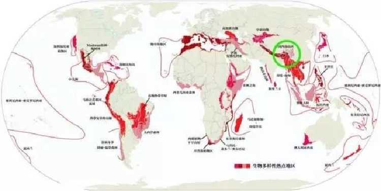 全球生物多样性热点地区