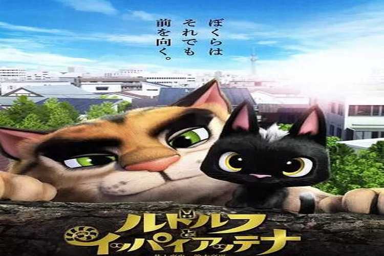 暑期少儿电影《黑猫鲁道夫》