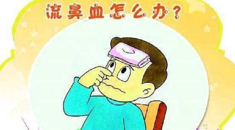 同济讲座——鼻出血的治疗