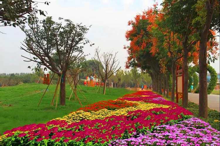 第十八届中国中原花木交易博览会